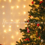 Christmas の画像2枚目/IRIE SPA(アイリースパ)(池袋/メンズエステ)