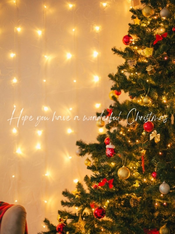 Christmas の画像2枚目/IRIE SPA(アイリースパ)(池袋/メンズエステ)